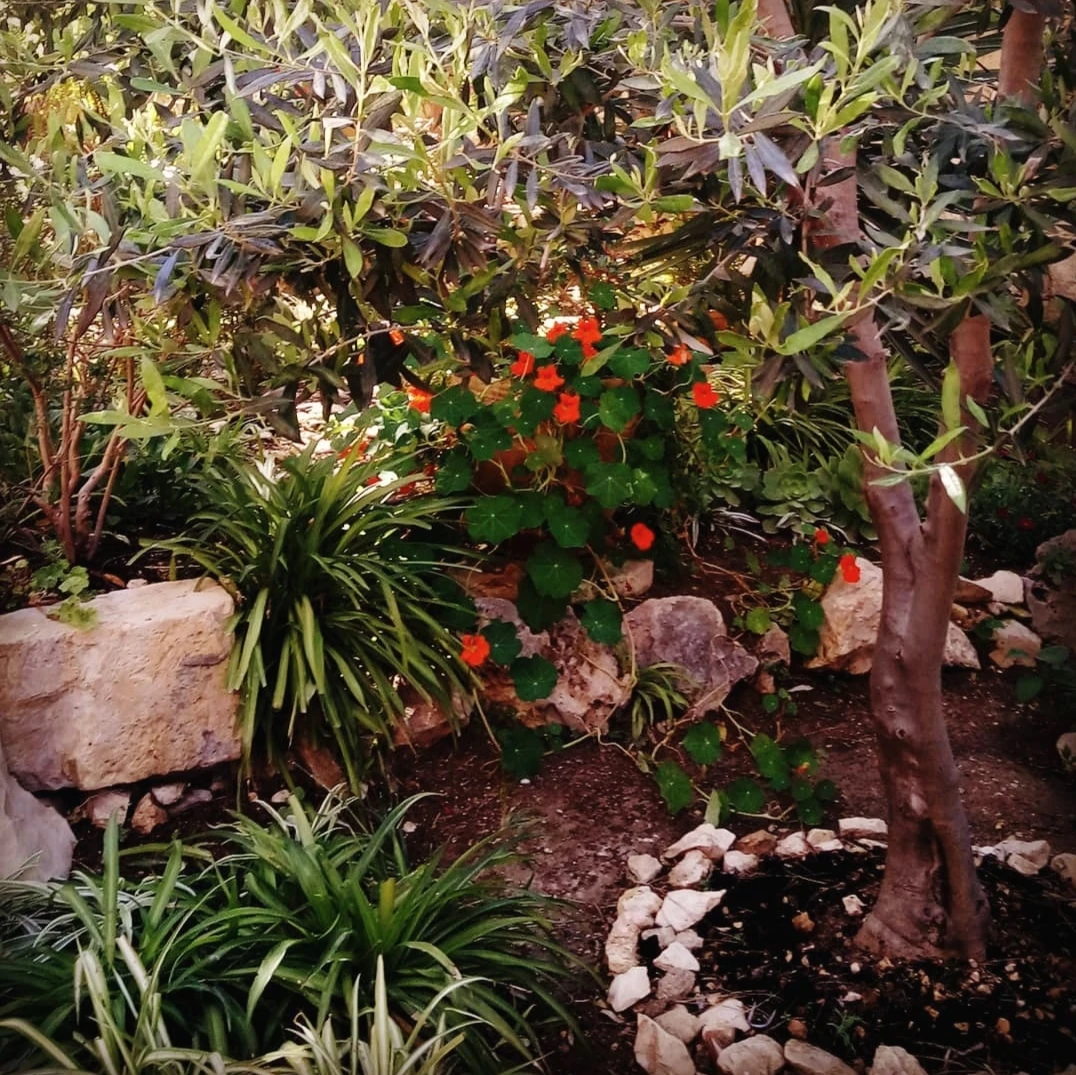 Иллюстрация к книге — Человеки [book-illustration-25.webp]