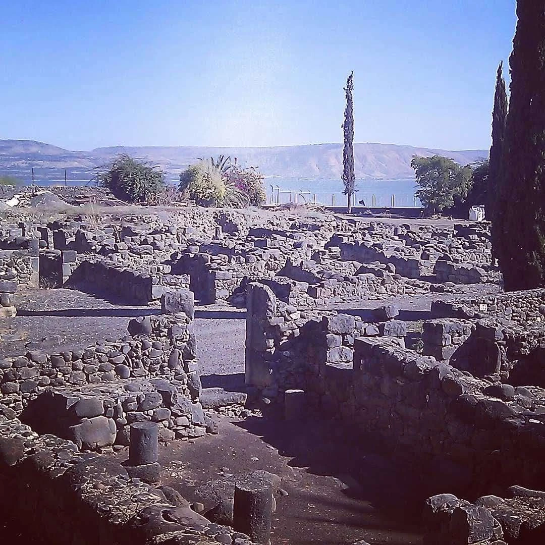 Иллюстрация к книге — Человеки [book-illustration-29.webp]