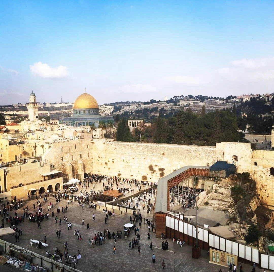 Иллюстрация к книге — Человеки [book-illustration-30.webp]