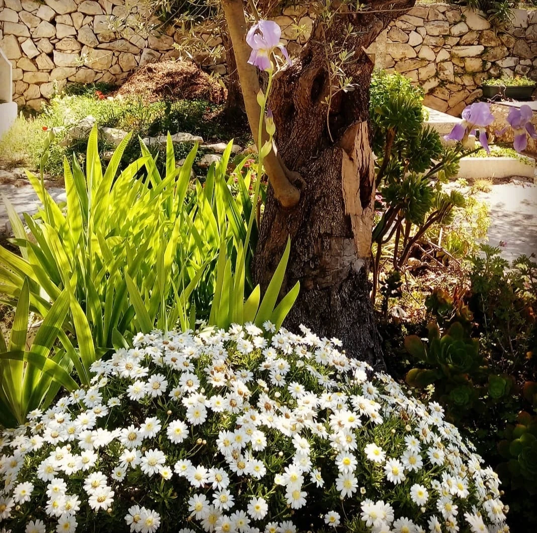 Иллюстрация к книге — Человеки [book-illustration-4.webp]