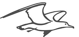 Иллюстрация к книге — В сумерках моря [book-illustration-11.webp]