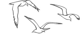 Иллюстрация к книге — В сумерках моря [book-illustration-27.webp]