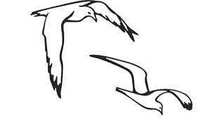 Иллюстрация к книге — В сумерках моря [book-illustration-6.webp]