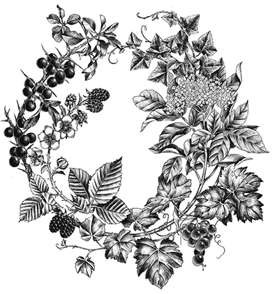 Иллюстрация к книге — Корона рогатого короля [book-illustration-20.webp]