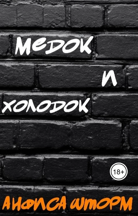 Книга Медок и холодок