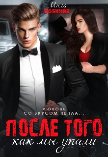 Книга После того как мы упали