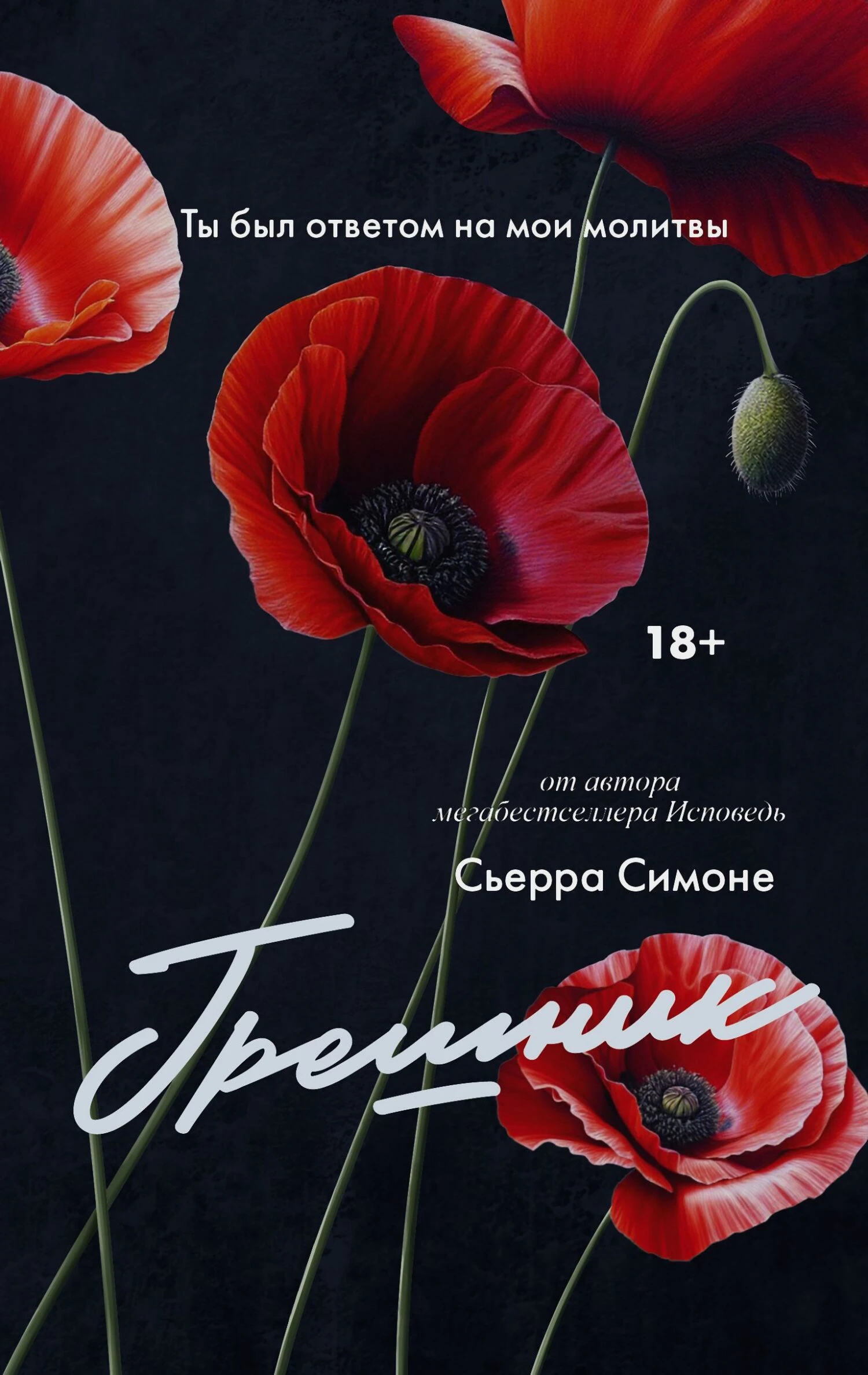 Книга Грешник