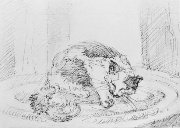 Иллюстрация к книге — Монологи бездомного кота [book-illustration-2.webp]