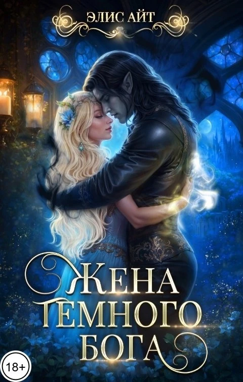 Книга Жена тёмного бога