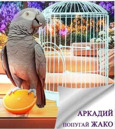 Иллюстрация к книге — После развода. И даром не нужен [book-illustration-7.webp]