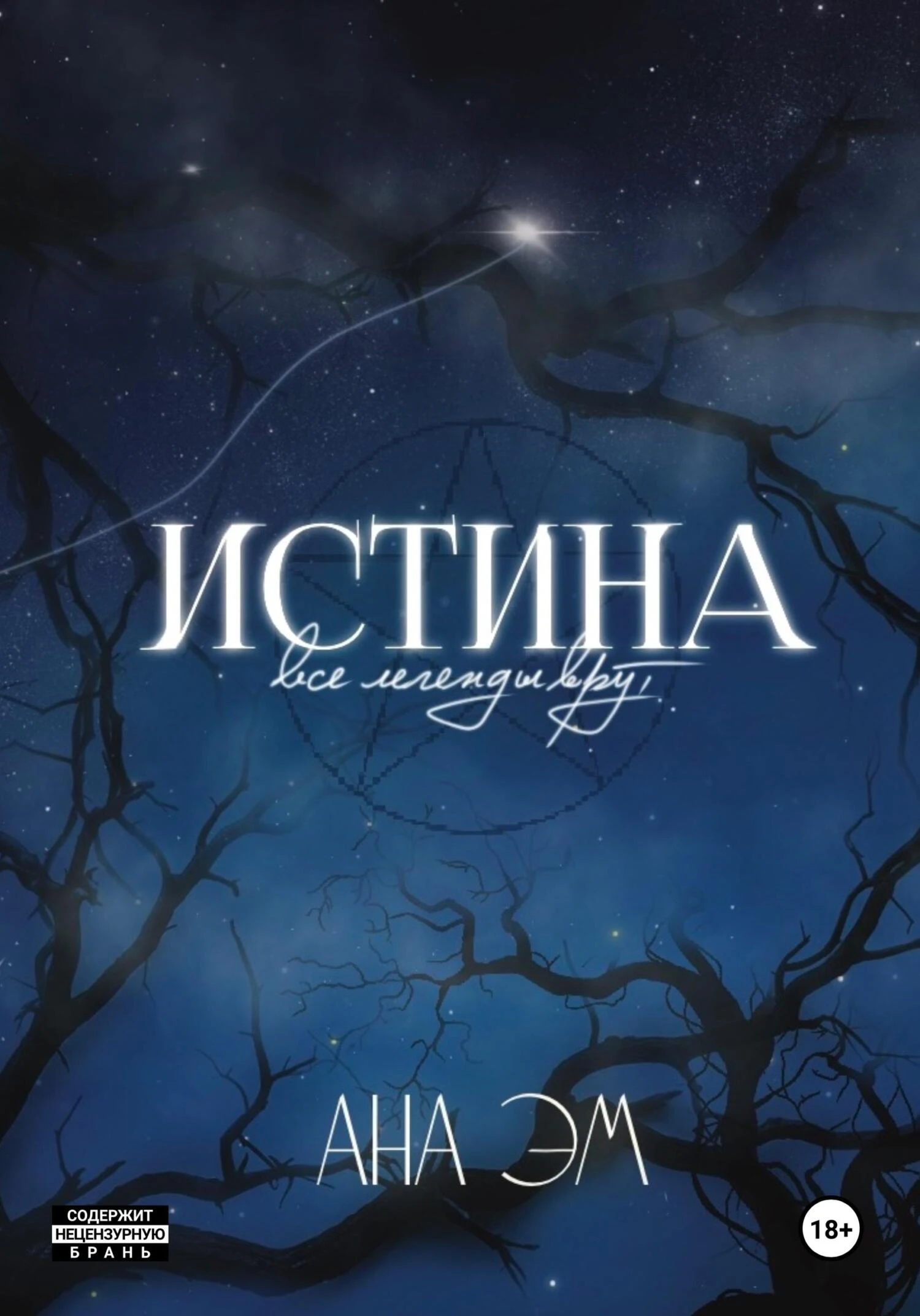 Книга Истина