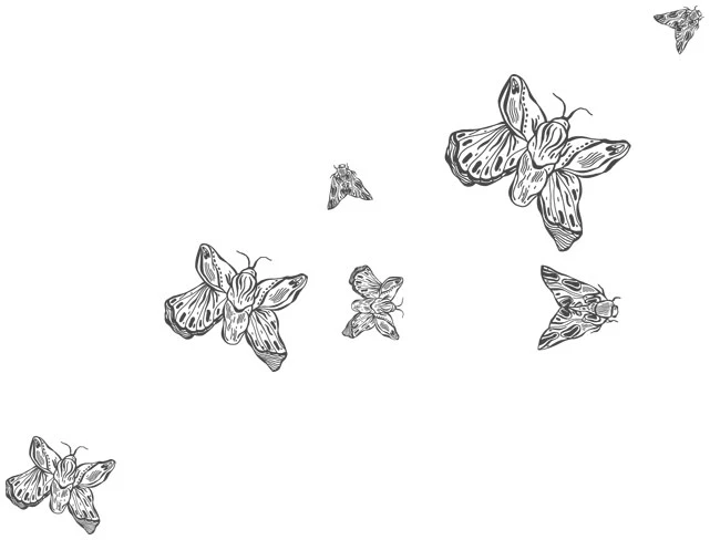Иллюстрация к книге — Любовь всей моей смерти. Том 1 [book-illustration-2.webp]