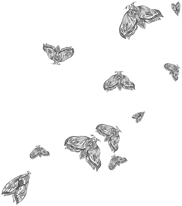 Иллюстрация к книге — Любовь всей моей смерти. Том 1 [book-illustration-6.webp]