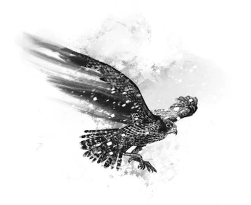 Иллюстрация к книге — Зов ястреба [book-illustration-3.webp]