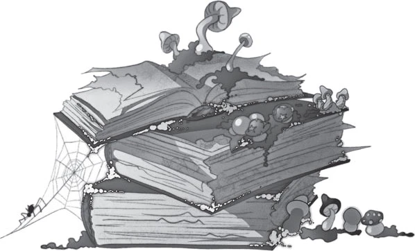 Иллюстрация к книге — Призраки мрачного ущелья [book-illustration-3.webp]