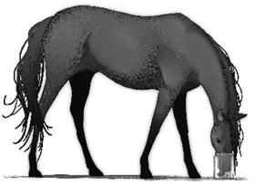Иллюстрация к книге — Ключ к древнему пророчеству [book-illustration-2.webp]