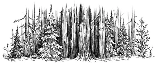 Иллюстрация к книге — Гретель и её бесы [book-illustration-7.webp]