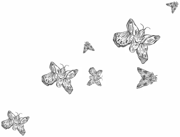 Иллюстрация к книге — Любовь всей моей смерти. Том 1 [book-illustration-11.webp]