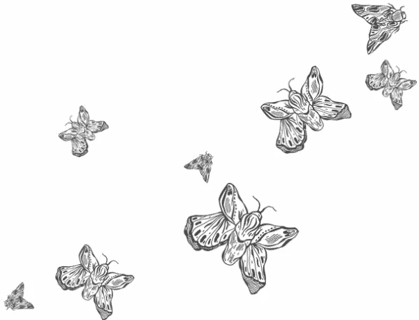 Иллюстрация к книге — Любовь всей моей смерти. Том 1 [book-illustration-14.webp]