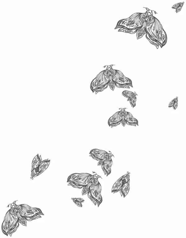 Иллюстрация к книге — Любовь всей моей смерти. Том 1 [book-illustration-30.webp]