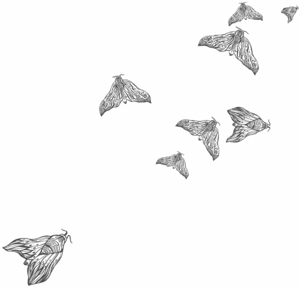 Иллюстрация к книге — Любовь всей моей смерти. Том 1 [book-illustration-33.webp]