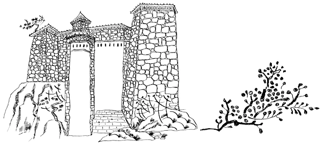Иллюстрация к книге — Пока не погаснет последний фонарь. Том 2 [book-illustration-4.webp]