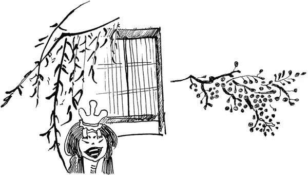 Иллюстрация к книге — Пока не погаснет последний фонарь. Том 4 [book-illustration-30.webp]