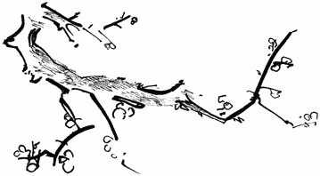 Иллюстрация к книге — Пока не погаснет последний фонарь. Том 4 [book-illustration-34.webp]