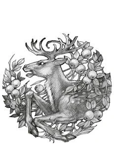 Иллюстрация к книге — Владычица Авалона [book-illustration-25.webp]