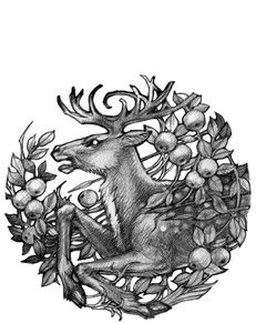 Иллюстрация к книге — Владычица Авалона [book-illustration-30.webp]