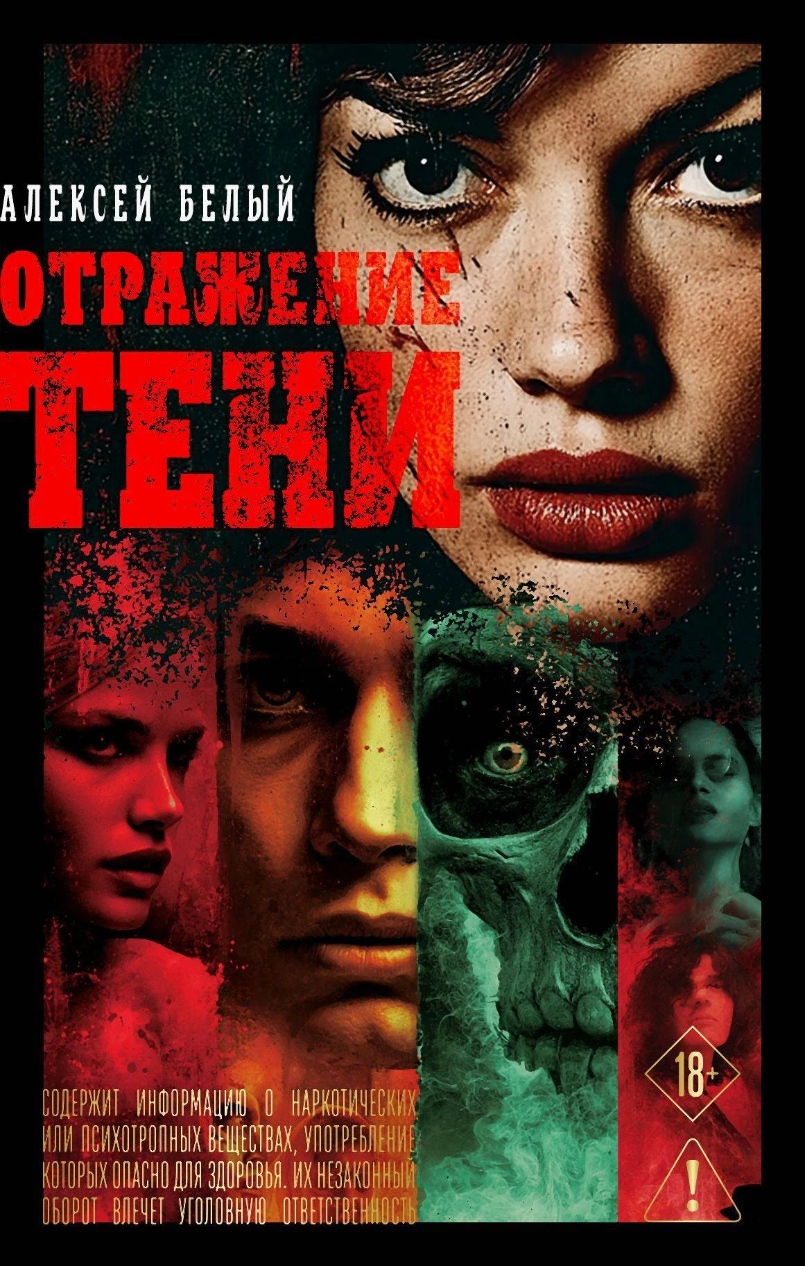 Книга Отражение тени