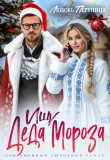 Книга Ищу Деда Мороза