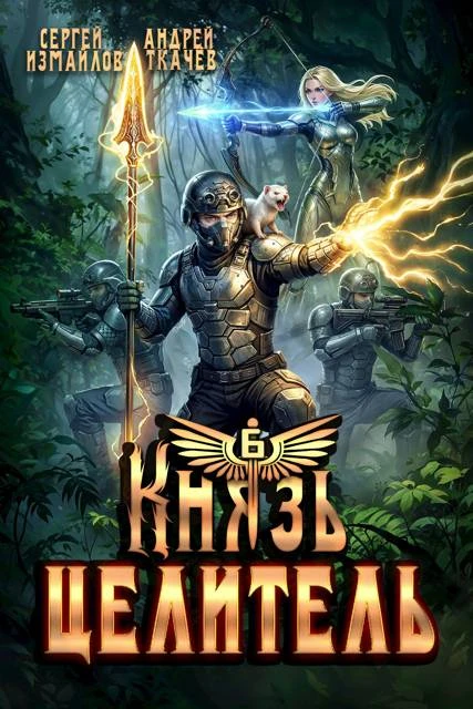 Книга Князь Целитель 6