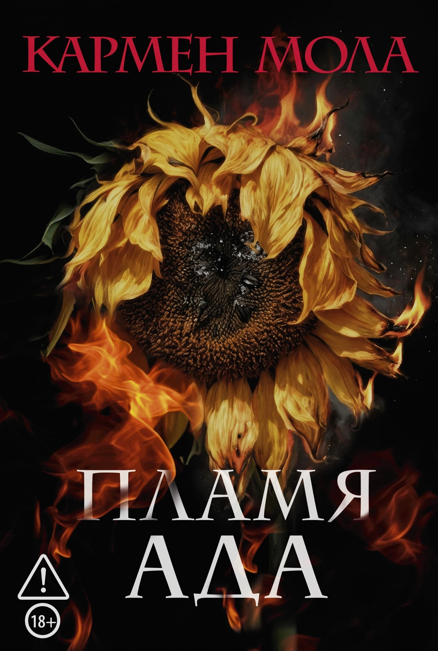 Книга Пламя ада
