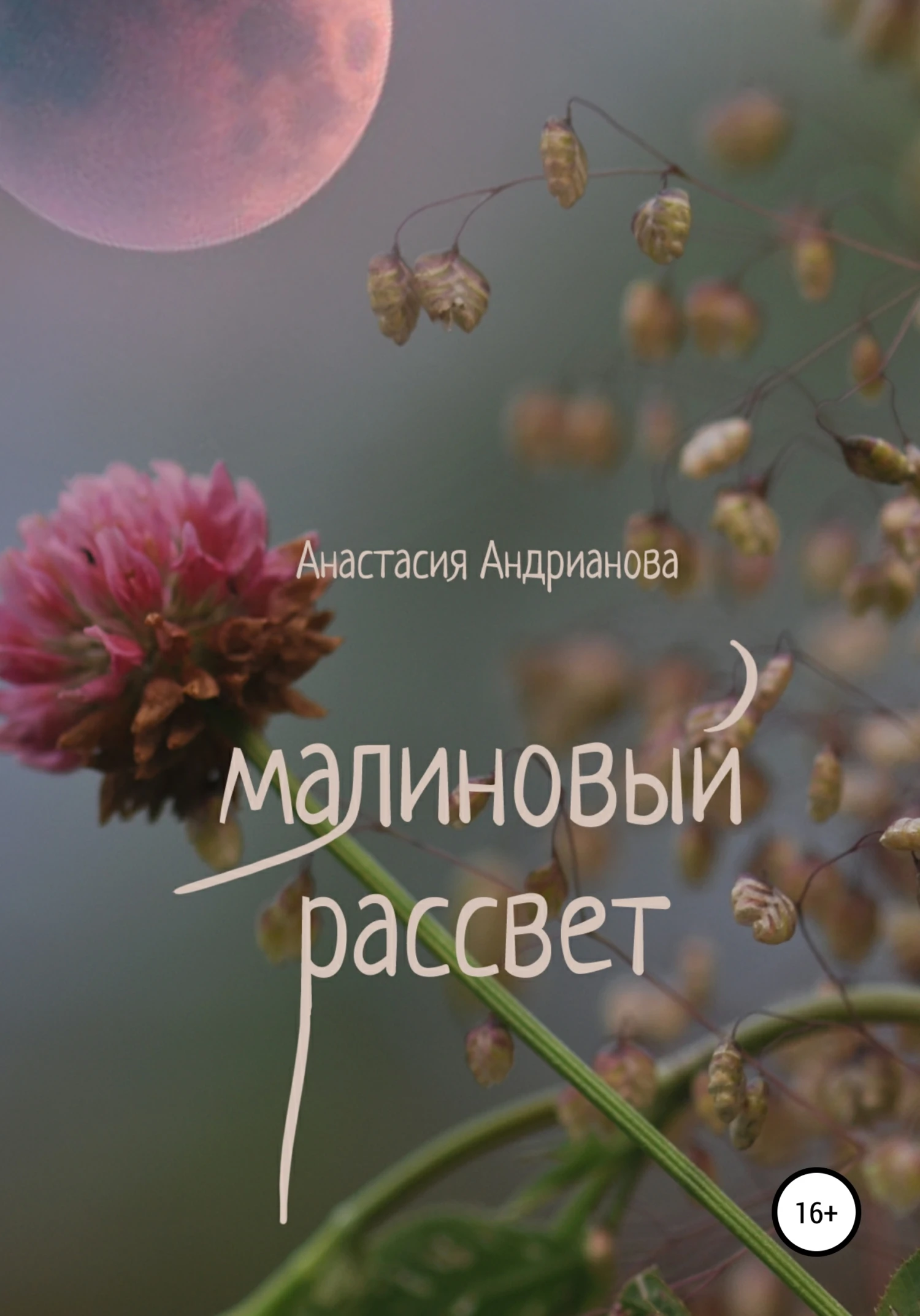 Книга Малиновый рассвет