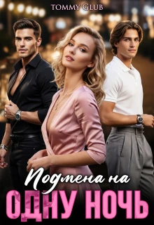 Книга Подмена на одну ночь