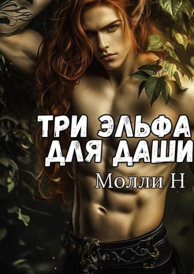 Книга Три эльфа для Даши