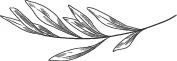 Иллюстрация к книге — Безупречный [book-illustration-21.webp]