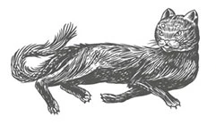Иллюстрация к книге — Шепот в тишине. Мистические истории [book-illustration-4.webp]