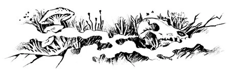 Иллюстрация к книге — Приходи вчера [book-illustration-2.webp]