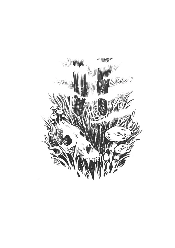 Иллюстрация к книге — Приходи вчера [book-illustration-20.webp]