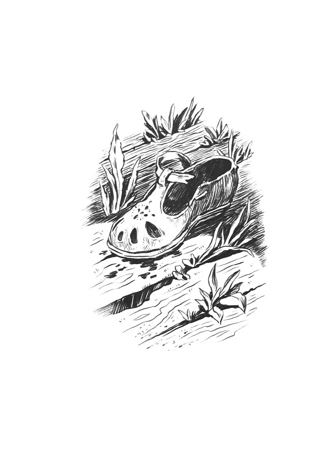 Иллюстрация к книге — Приходи вчера [book-illustration-22.webp]