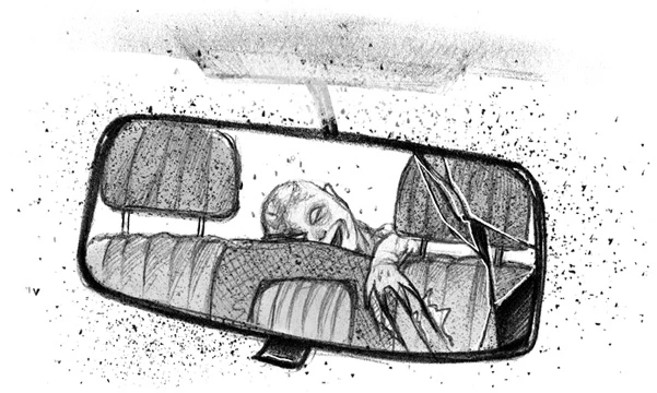 Иллюстрация к книге — Бессмертник [book-illustration-37.webp]