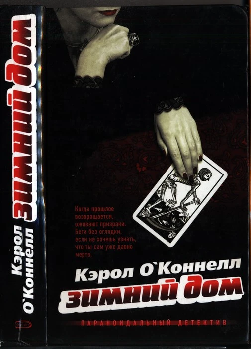 Книга Зимний дом