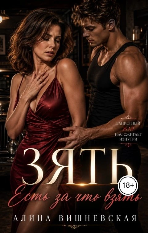 Книга Зять. Есть за что взять