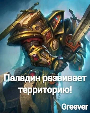 Книга Паладин развивает территорию. Том V
