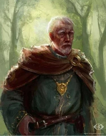 Иллюстрация к книге — Паладин развивает территорию. Том II [book-illustration-68.webp]