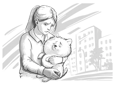 Иллюстрация к книге — Тайна пропавшего Принца [book-illustration-21.webp]