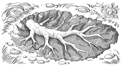 Иллюстрация к книге — Тайна пропавшего Принца [book-illustration-9.webp]