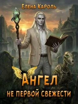 Книга Ангел не первой свежести